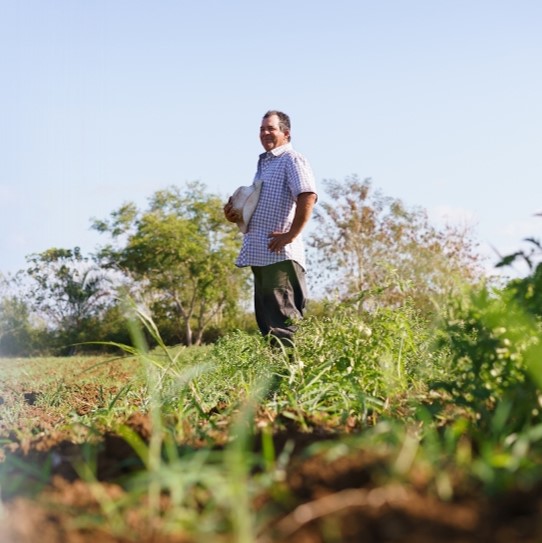 labor trafficking, man standing in a farm field