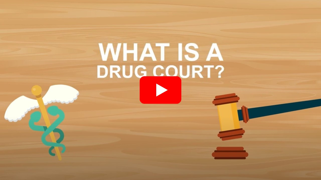 drug courts explained video