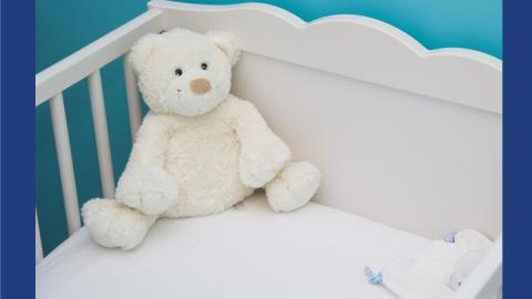 Teddy Bear